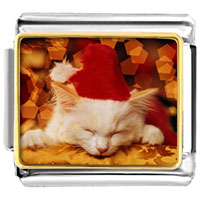 Italian Charms - sleeping santa kitten photo italian charm Image.