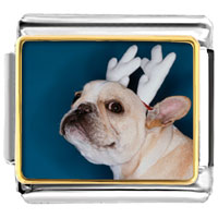 Italian Charms - pug dog reindeer photo italian charm Image.
