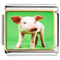 Italian Charms - pig photo italian charm Image.