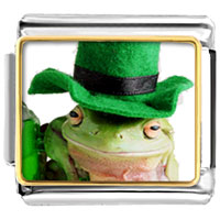 Italian Charms - st patricks day frog photo italian charm Image.