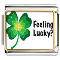 Italian Charms - feeling lucky irish clover photo italian charm Image.