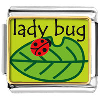 Italian Charms - lady bug on leaf photo italian charm Image.