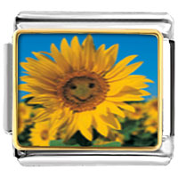 Italian Charms - happy sunflower photo italian charm Image.