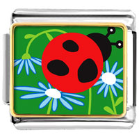 Italian Charms - curious ladybug photo italian charm Image.
