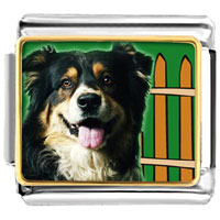 Italian Charms - gold plated travel australian shepherd photo italian charm bracelets Image.
