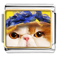 Italian Charms - kitten photo italian charm Image.