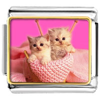 Italian Charms - kittens photo italian charm Image.