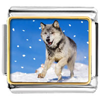 Italian Charms - running wolf photo italian charm Image.