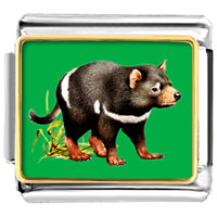 Italian Charms - racoon photo italian charm Image.