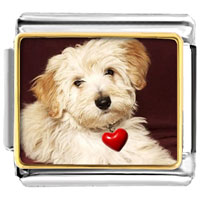 Italian Charms - puppy with red heart photo italian charm Image.