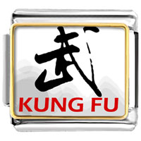 Italian Charms - kungfu photo italian charm Image.