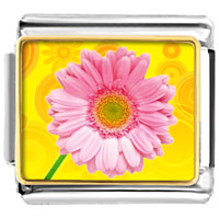 Italian Charms - feraud photo italian charm Image.