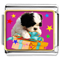 Italian Charms - poodle and present photo italian charm Image.