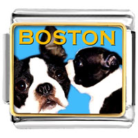 Italian Charms - boston terrier photo italian charm vph2361 Image.