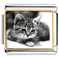 Italian Charms - cat in black &amp; white photo italian charm Image.