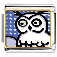 Lovely Owl Photo Photo Italian Charm