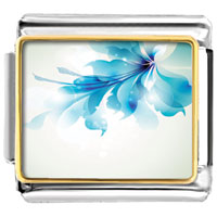 Beautiful White And Deep Sky Blue Flower Photo Italian Charm