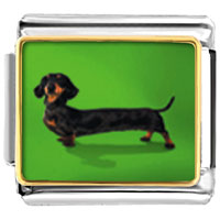 Italian Charms - weiner dog photo italian charm Image.