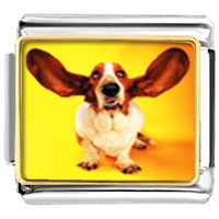 Italian Charms - basset hound big ears photo italian charm Image.