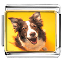 Italian Charms - border collie dog photo italian charm Image.