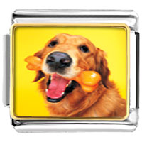 Italian Charms - golden retriever and bone photo italian charm Image.