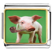 Italian Charms - smoking pig photo italian charm Image.