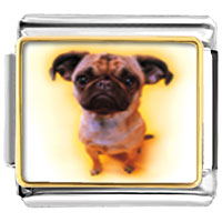 Italian Charms - baby pug photo italian charm Image.