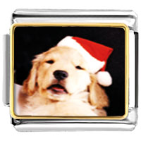 Italian Charms - puppy santa photo italian charm Image.
