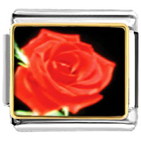 Italian Charms - red rose photo italian charm Image.