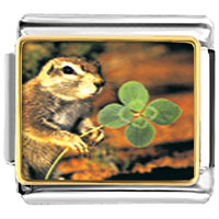 Italian Charms - squirrel and clover photo italian charm Image.