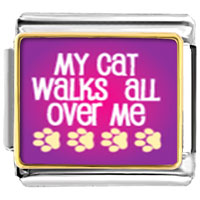 VPH607: cat walks over me photo italian charm Image.