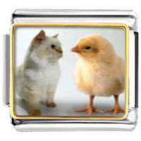 Italian Charms - chick and kitten photo italian charm Image.