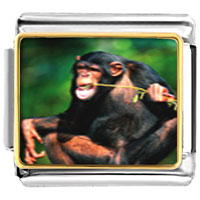 Italian Charms - funny monkey photo italian charm Image.