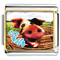 Italian Charms - smile pig photo italian charm Image.