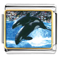 Italian Charms - killer whale show photo italian charm Image.