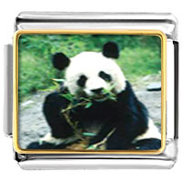 Italian Charms - panda bear photo italian charm Image.