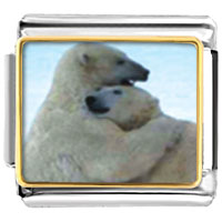 Italian Charms - polar bear hug photo italian charm Image.