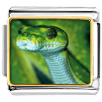Italian Charms - green snake photo italian charm Image.