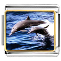 Italian Charms - dolphin family photo italian charm Image.