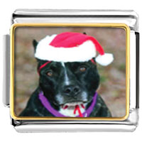 Italian Charms - christmas dog photo italian charm Image.