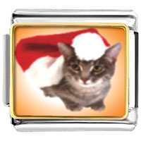 Italian Charms - christmas cat photo italian charm Image.