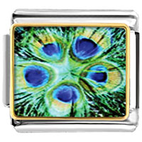 Italian Charms - green peacock feathers photo italian charm Image.