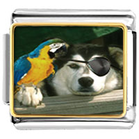 Italian Charms - pirate dog photo italian charm Image.