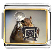 Italian Charms - squirrel taking photos italian charm Image.