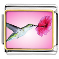 Italian Charms - hummingbird photo italian charm Image.