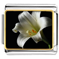 Italian Charms - white lily photo italian charm Image.