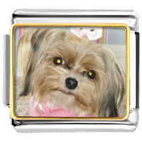 Italian Charms - shih tzu dog photo italian charm Image.