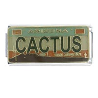 Italian Charms - license plate arizona x2 italian charm Image.