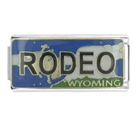 Italian Charms - license plate wyoming x2 italian charm Image.