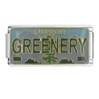 Italian Charms - license plate oregon x2 italian charm Image.